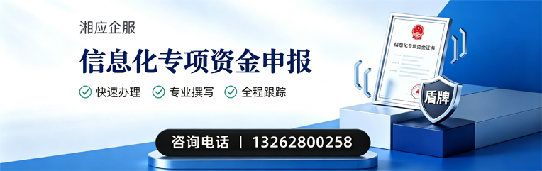 银川信息化专项资金申报服务