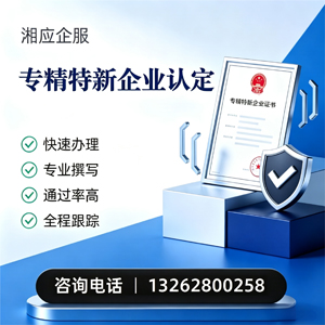 银川专精特新企业申报服务