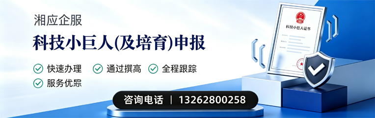 银川科技小巨人及培育企业申报服务