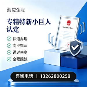 银川专精特新小巨人申报服务