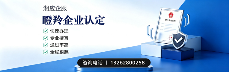 银川瞪羚企业认定申报服务