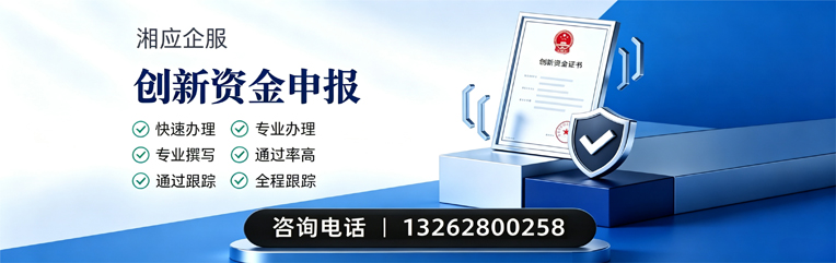 银川创新资金申报服务