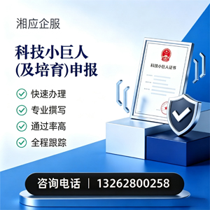 银川科技小巨人及培育企业申报服务