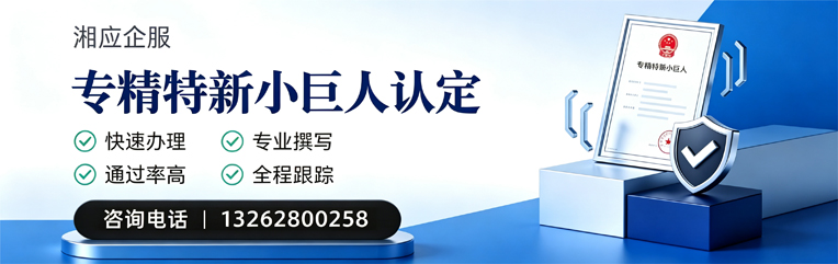 银川专精特新小巨人申报服务